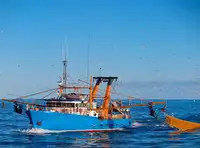 Trawler müügiks