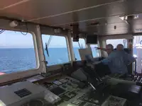 Puistekaubaveoalus müügiks