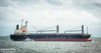 Puistekaubaveoalus müügiks