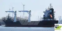 Puistekaubaveoalus müügiks