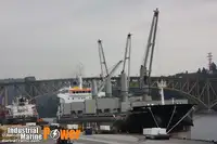 Puistekaubaveoalus müügiks