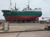Trawler müügiks