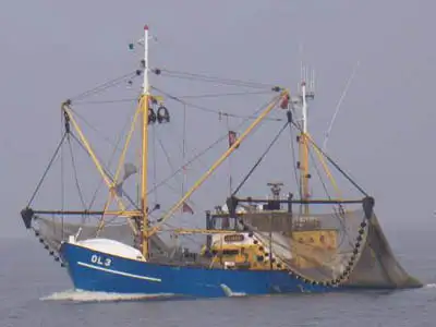 Traaler müügiks