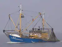 Trawler müügiks