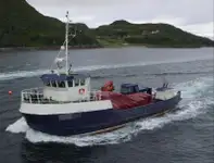 Töölaevad müügiks