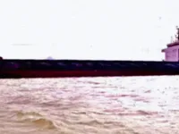 Puistekaubaveoalus müügiks