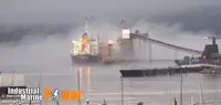 Puistekaubaveoalus müügiks