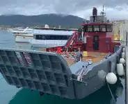 Maandamisalus, tank müügiks