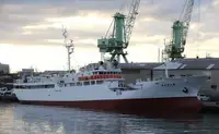 Traaler müügiks