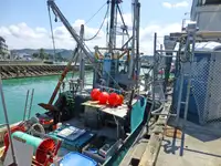 Trawler müügiks