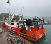 Traaler müügiks