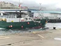 Traaler müügiks