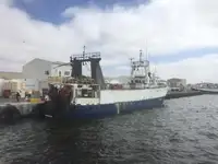 Traaler müügiks