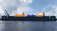Ujuv dokk müügiks