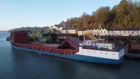 Puistekaubaveoalus müügiks
