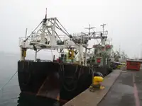 Traaler müügiks