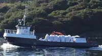 Töölaevad müügiks