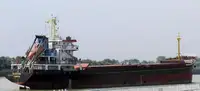 Puistlastilaev müügiks