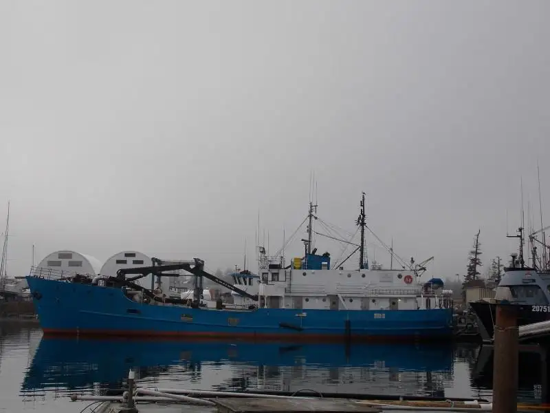 Puistekaubaveoalus müügiks