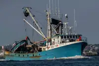 Purse seiner müügiks