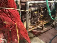Traaler müügiks