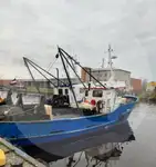 Elus kala kandja müügiks