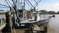 Trawler müügiks