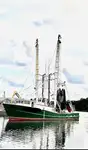 Trawler müügiks