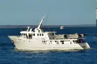 Traaler müügiks