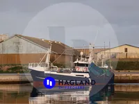 Traaler müügiks