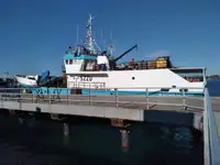 Traaler müügiks