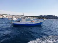 Traaler müügiks