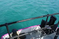 General Cargo/Multi-purpose müügiks