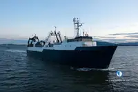 Trawler müügiks