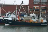 Trawler müügiks