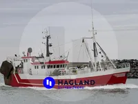 Traaler müügiks