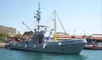 Tulepaat müügiks