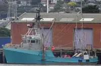Trawler müügiks