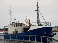Trawler müügiks
