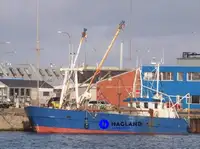 Beam trawler müügiks