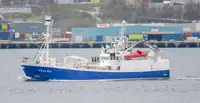 Purse seiner müügiks