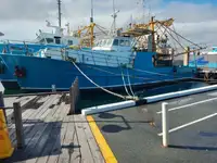 Trawler müügiks