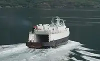 Puistekaubaveoalus müügiks