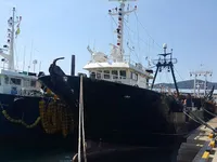 Traaler müügiks
