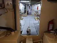 General Cargo/Multi-purpose müügiks