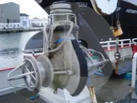 Trawler müügiks