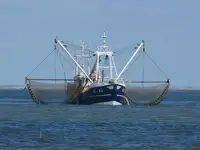 Trawler müügiks