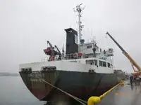 Puistekaubaveoalus müügiks