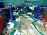 Trawler müügiks