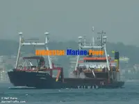 Puistekaubaveoalus müügiks